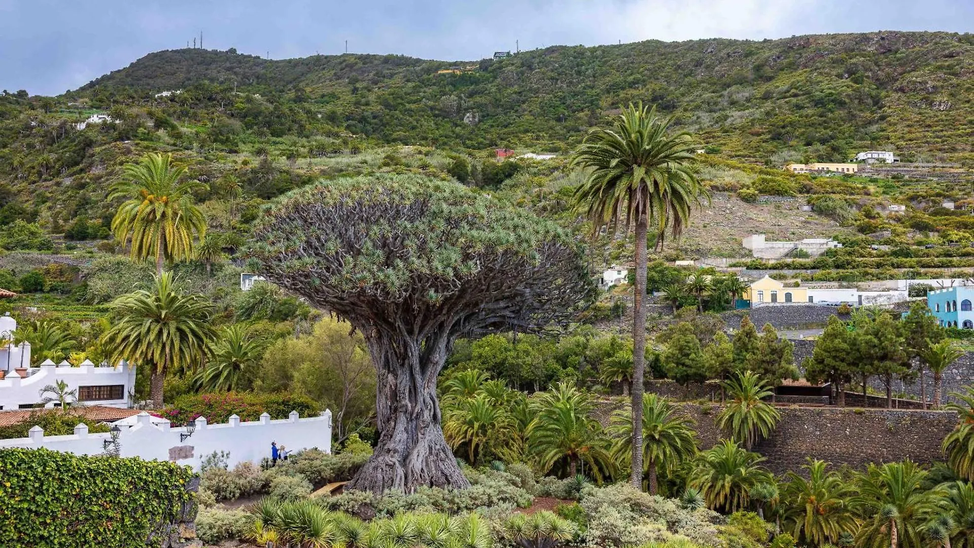 Vila Casa Justina Garachico  0*, Garachico (Tenerife) Španělsko